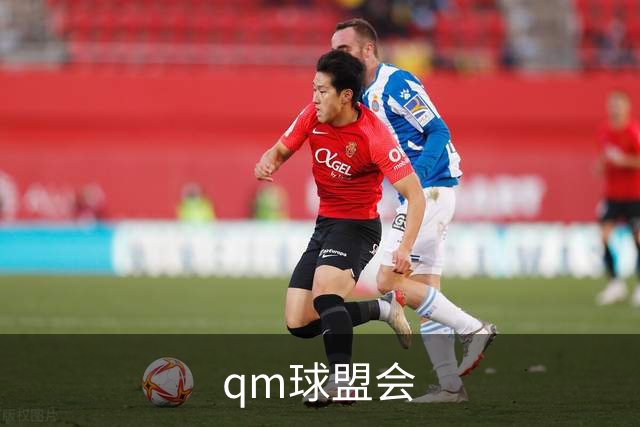 关于qm球盟会